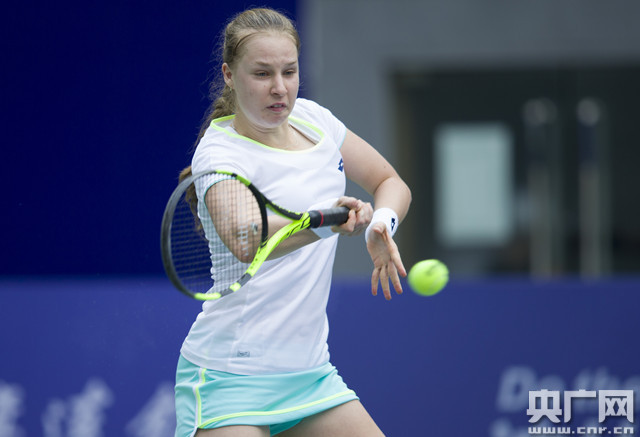 章在搜索引 章在搜索引