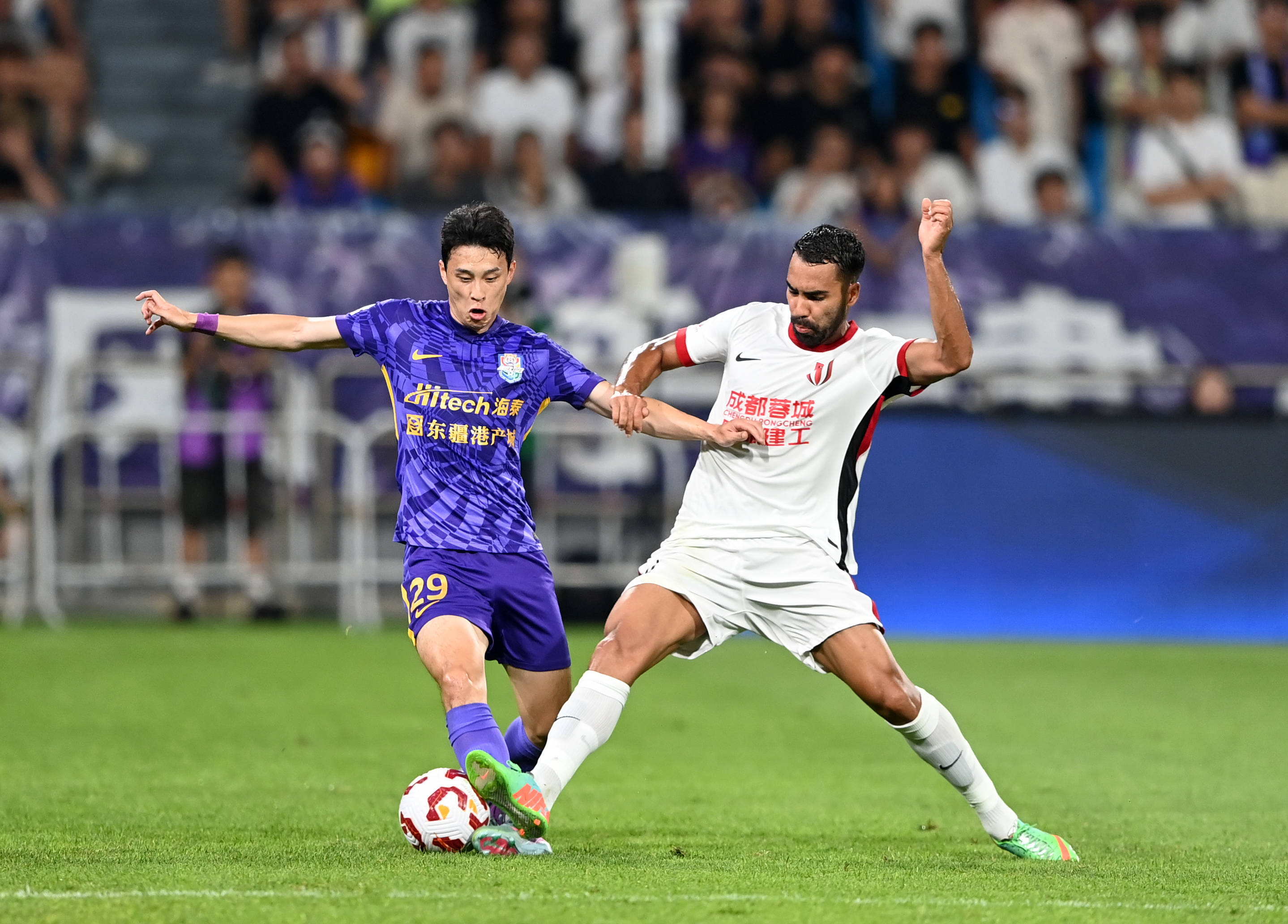 杯与球场欢 杯与球场欢